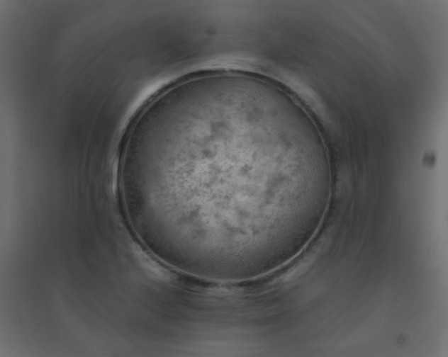 X0000094451224200711211511