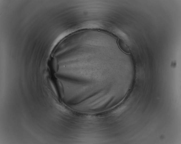 X0000094451226200711211511