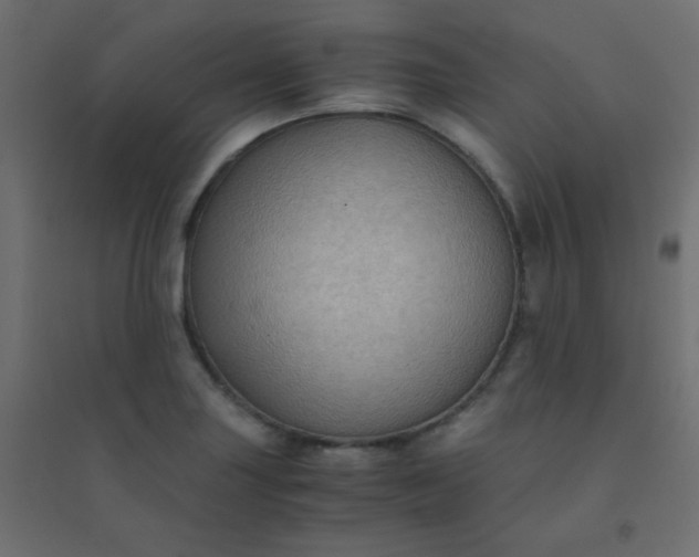 X0000094451227200711211511