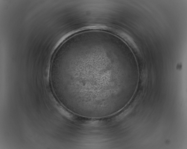 X0000094451228200711211511