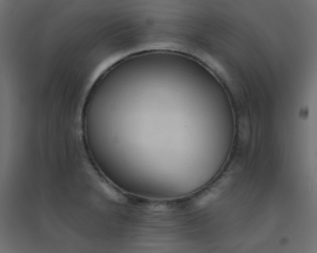 X0000094451230200711211511