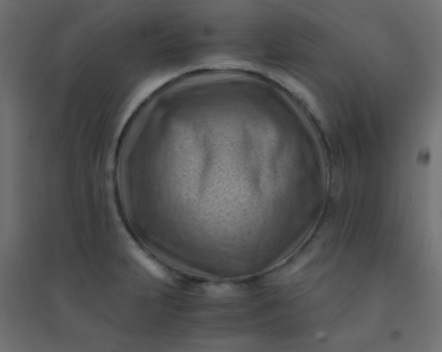 X0000094451231200711211511