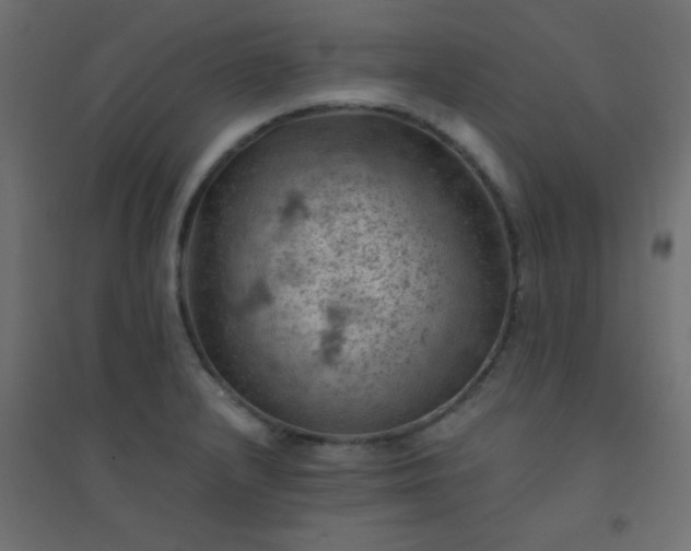 X0000094451232200711211511