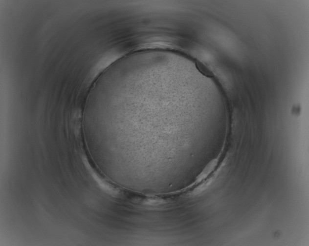 X0000094451233200711211511