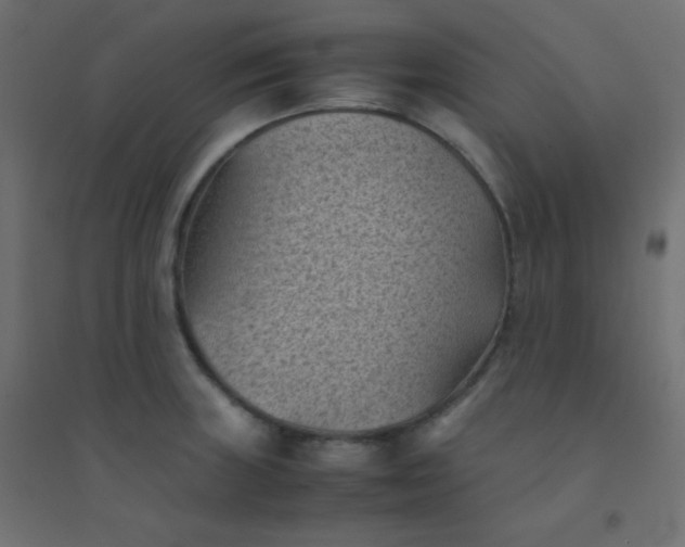 X0000094451235200711211511