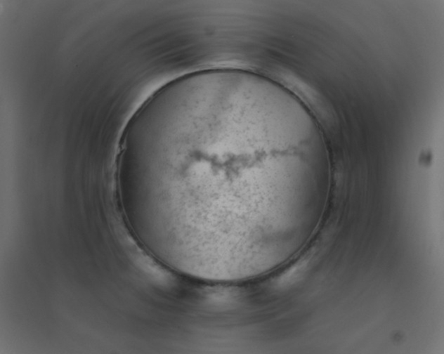 X0000094451236200711211511