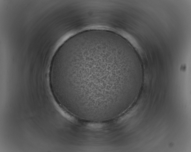 X0000094451237200711211511