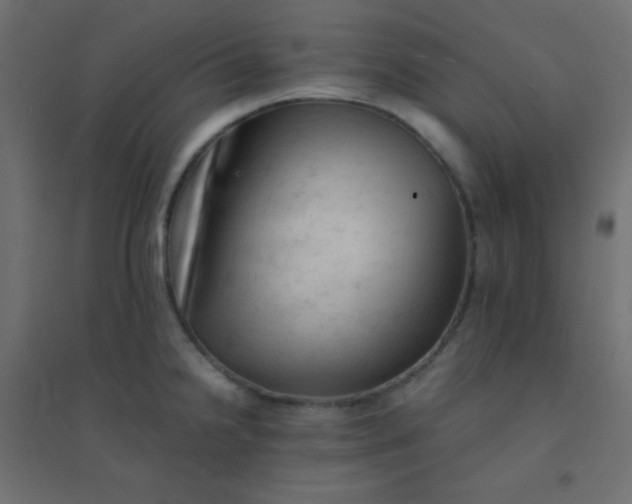 X0000094451238200711211511