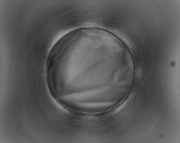 X0000094451239200711211511