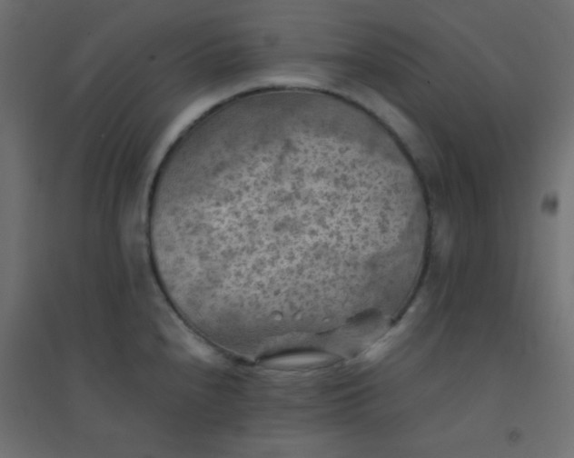 X0000094451240200711211511