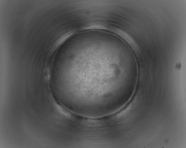 X0000094451241200711211511