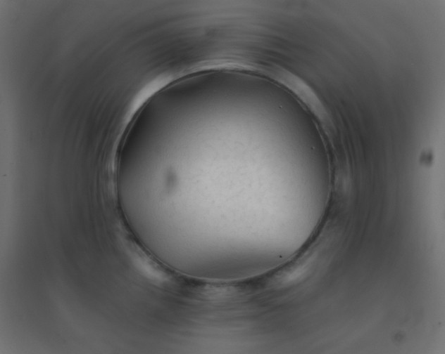 X0000094451242200711211511