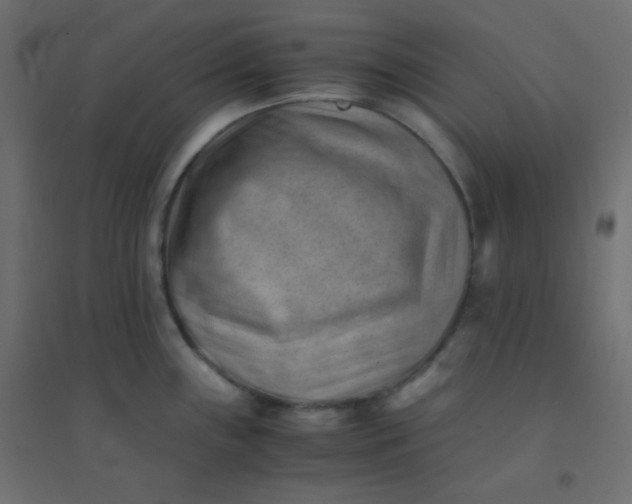 X0000094451243200711211511