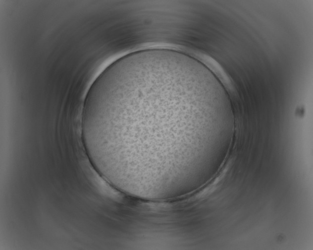 X0000094451244200711211511