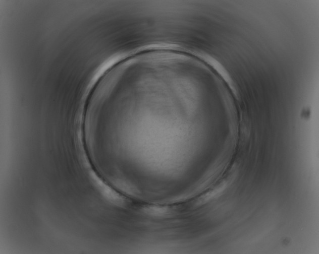 X0000094451245200711211511