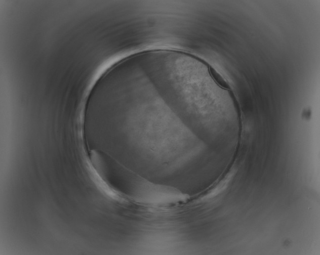 X0000094451246200711211511