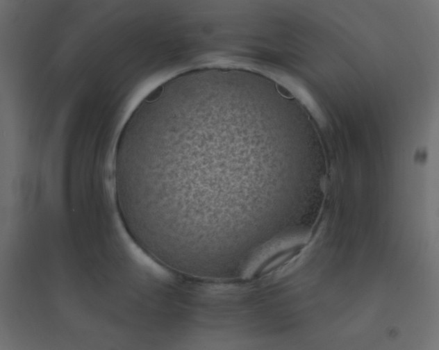 X0000094451247200711211511