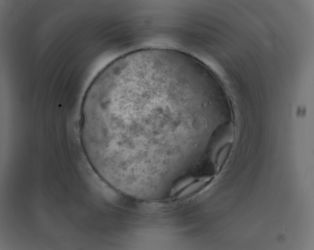 X0000094451248200711211511