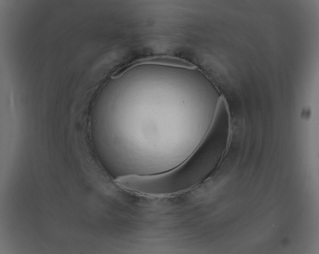 X0000094451249200711211511