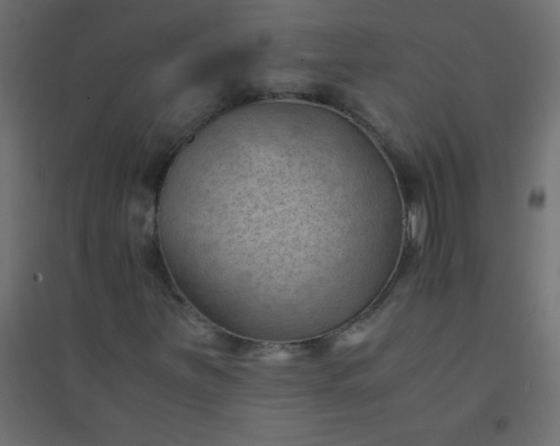 X0000094451251200711211511