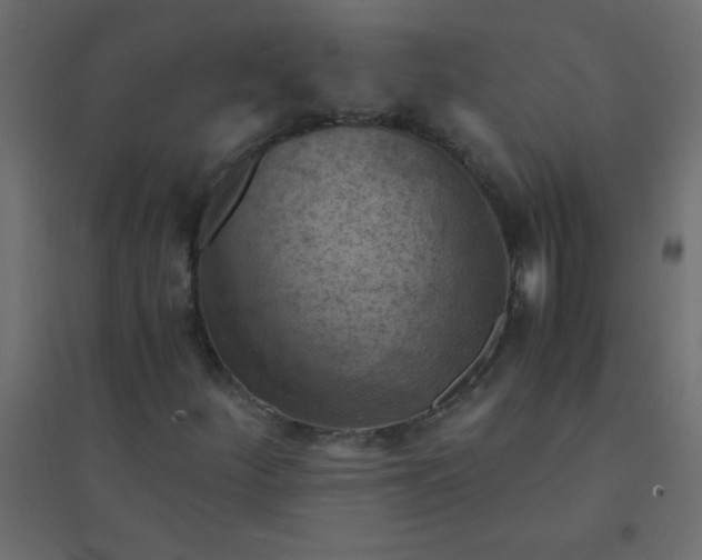 X0000094451252200711211511