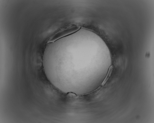 X0000094451253200711211511