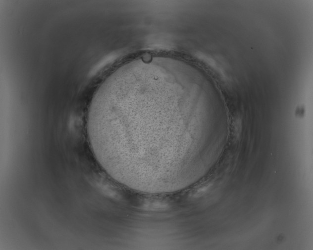 X0000094451254200711211511