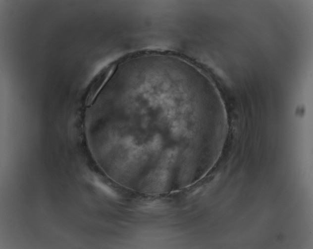 X0000094451256200711211511