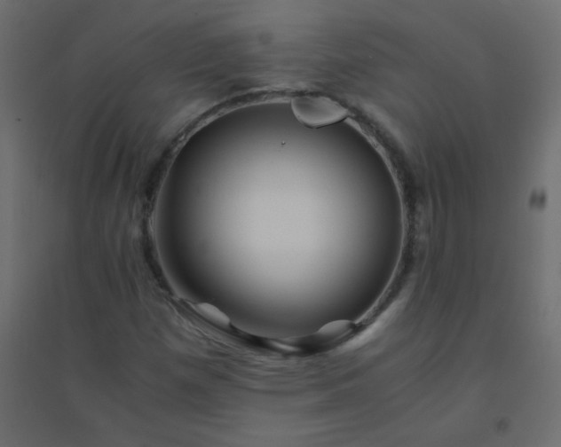 X0000094451257200711211511