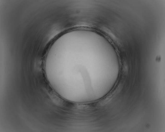 X0000094451258200711211510