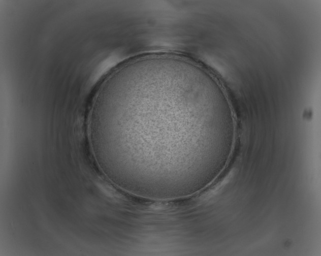 X0000094451259200711211510