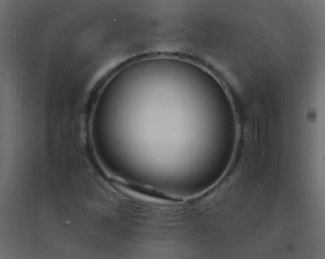 X0000094451262200711211510