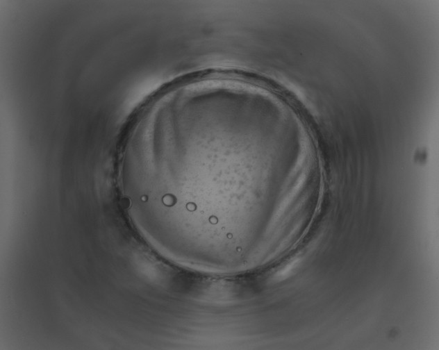 X0000094451263200711211510