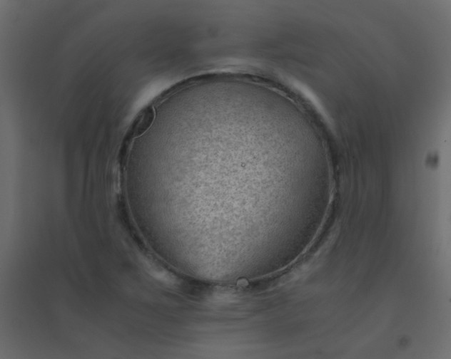 X0000094451267200711211510