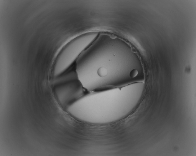 X0000094451268200711211510