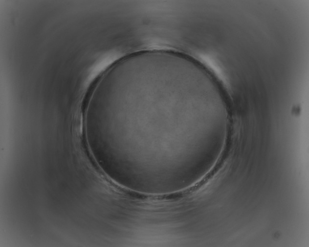 X0000094451269200711211510