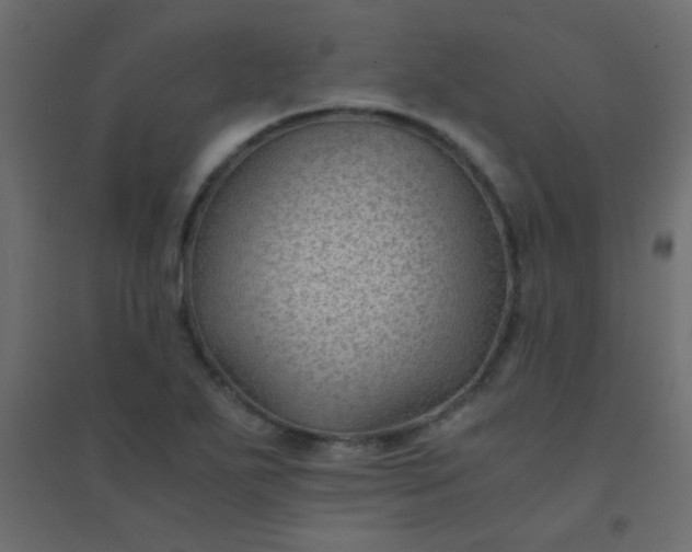 X0000094451271200711211510