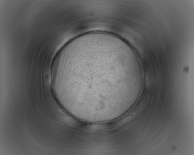 X0000094451274200711211510