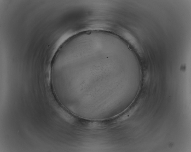 X0000094451275200711211510