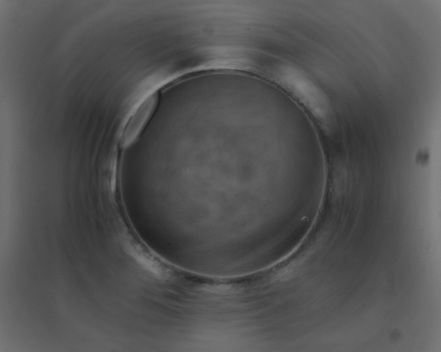 X0000094451276200711211510