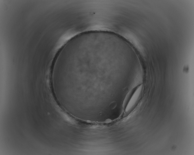 X0000094451277200711211510