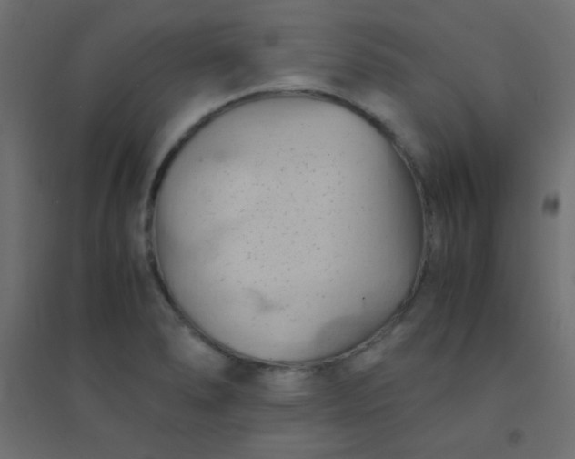 X0000094451278200711211510