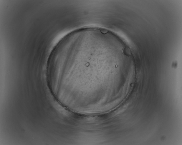 X0000094451279200711211510