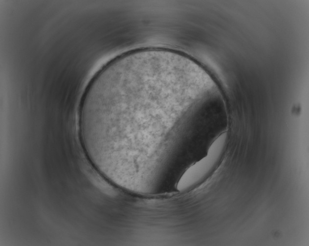 X0000094451280200711211510