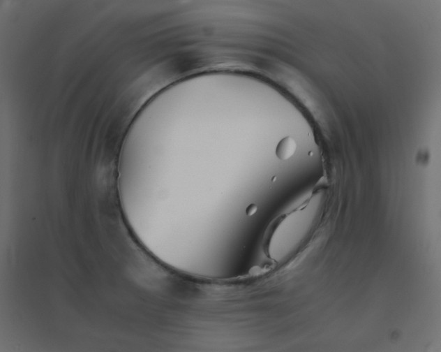 X0000094451281200711211510