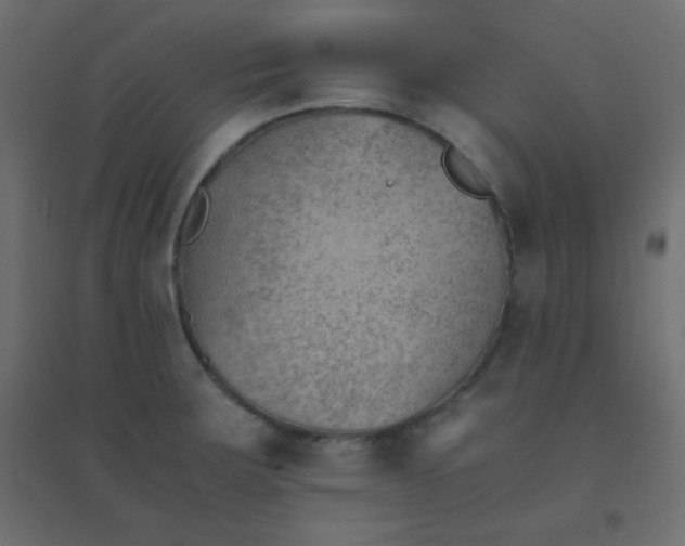 X0000094451283200711211510