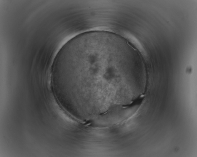 X0000094451284200711211510