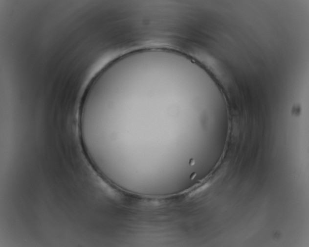 X0000094451286200711211510