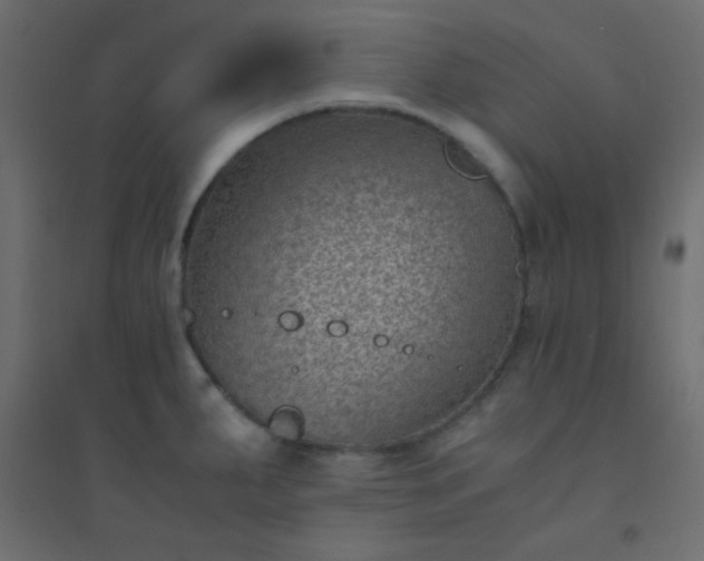 X0000094451287200711211510