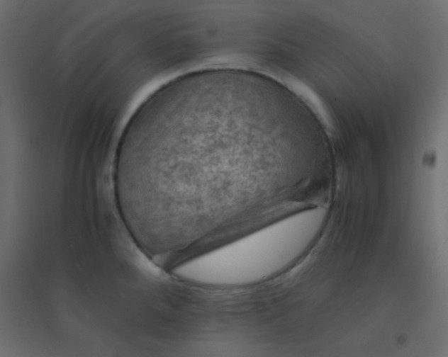 X0000094451288200711211510